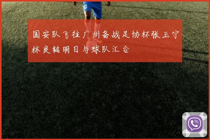 国安队飞往广州备战足协杯张玉宁林良铭明日与球队汇合